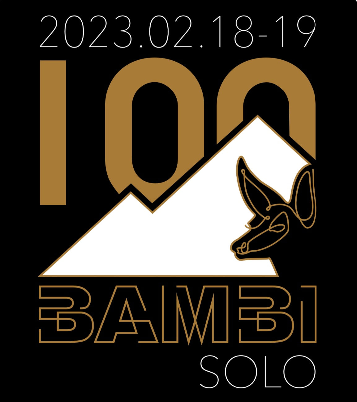 BAMBI_100 SOLOについて