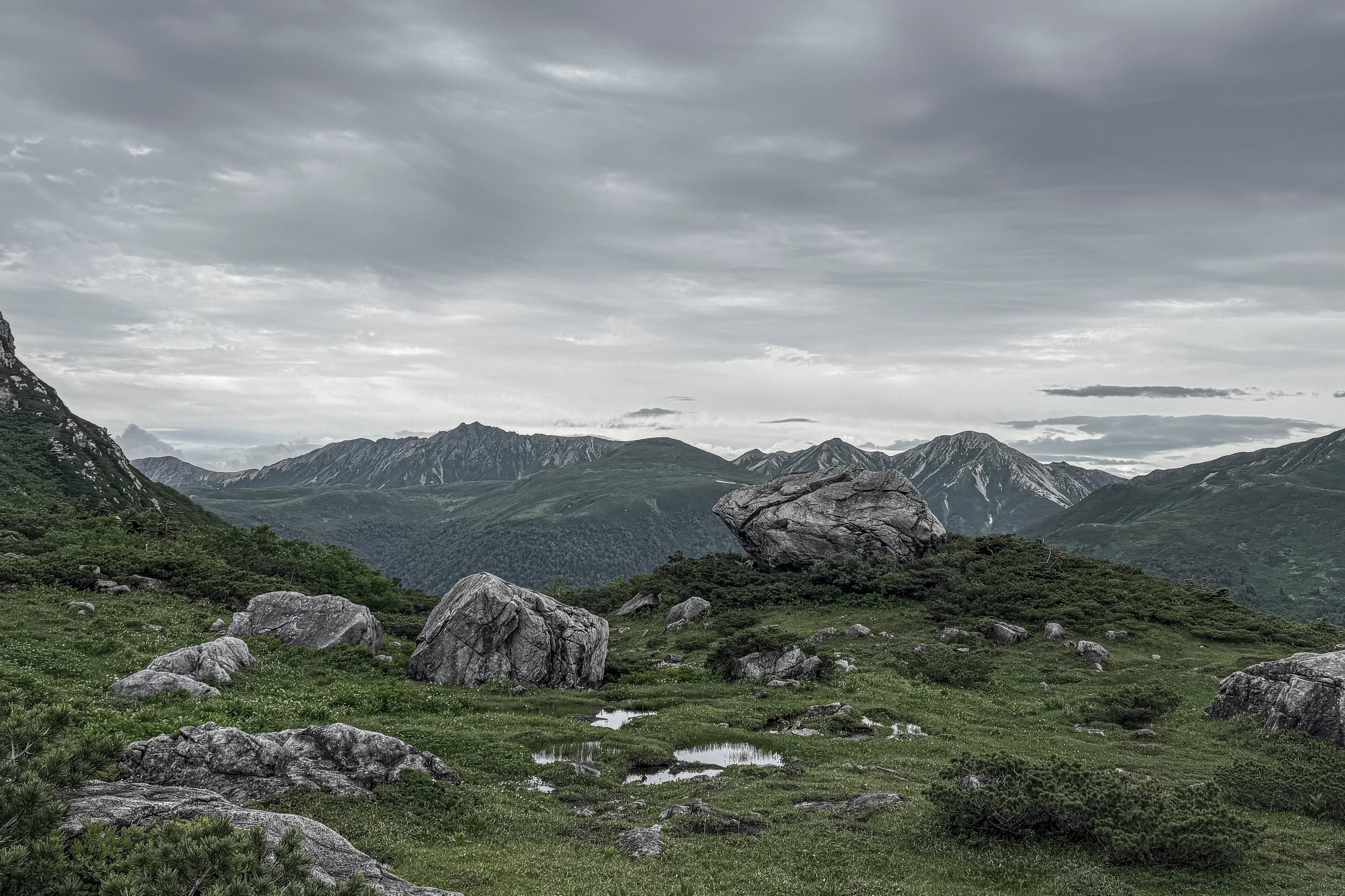 milestone catalog vol.11 2026-2027 完成しました!