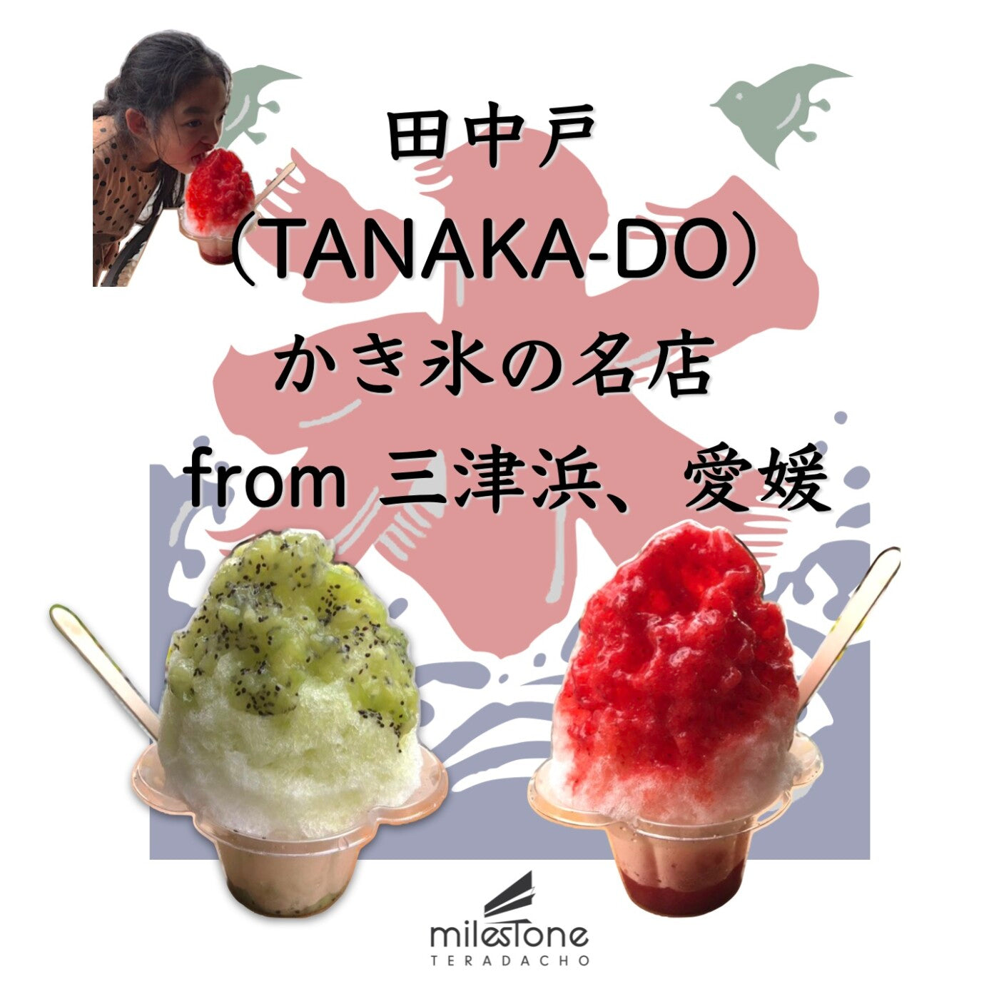 9月の月1週末営業日には愛媛県の三津浜よりかき氷の名店『島のモノ 喫茶 田中戸』さんが来てくれます。