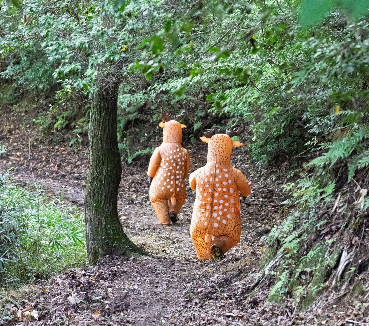 August. 2026 The New Yoshida Times "BAMBI100を通して実現していきたいこと"