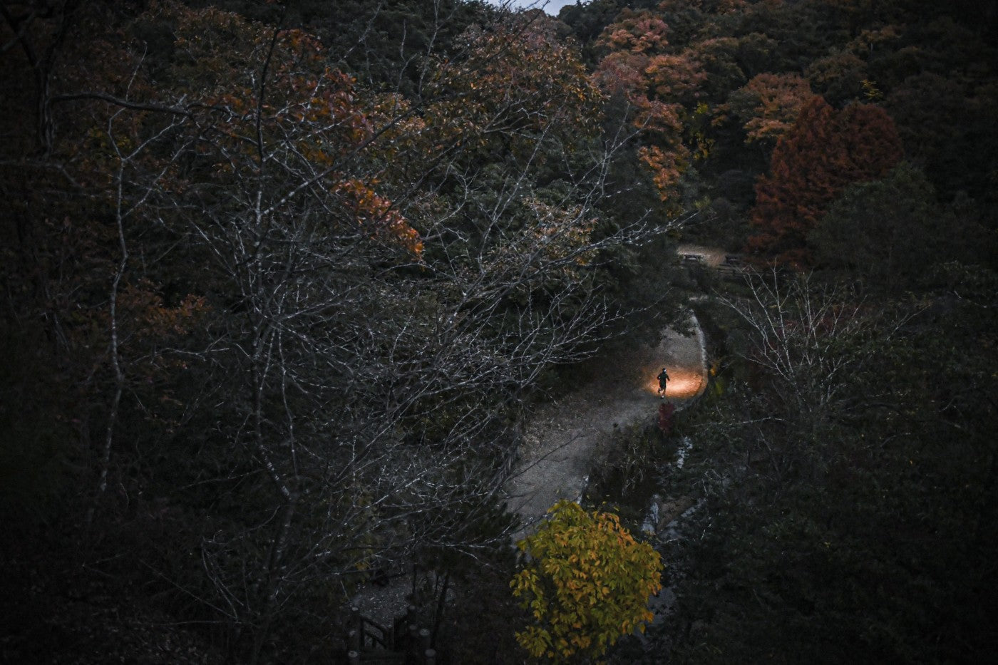 ナイトトレイルの楽しみ方 feat. 土井陵