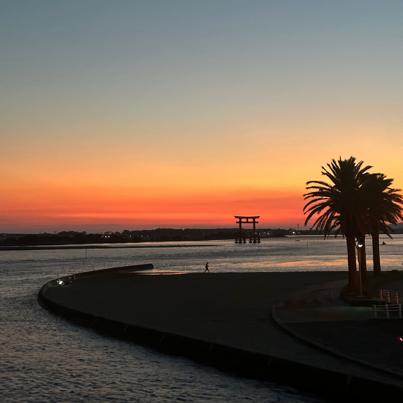 2022年を振り返って。2023年に向けて