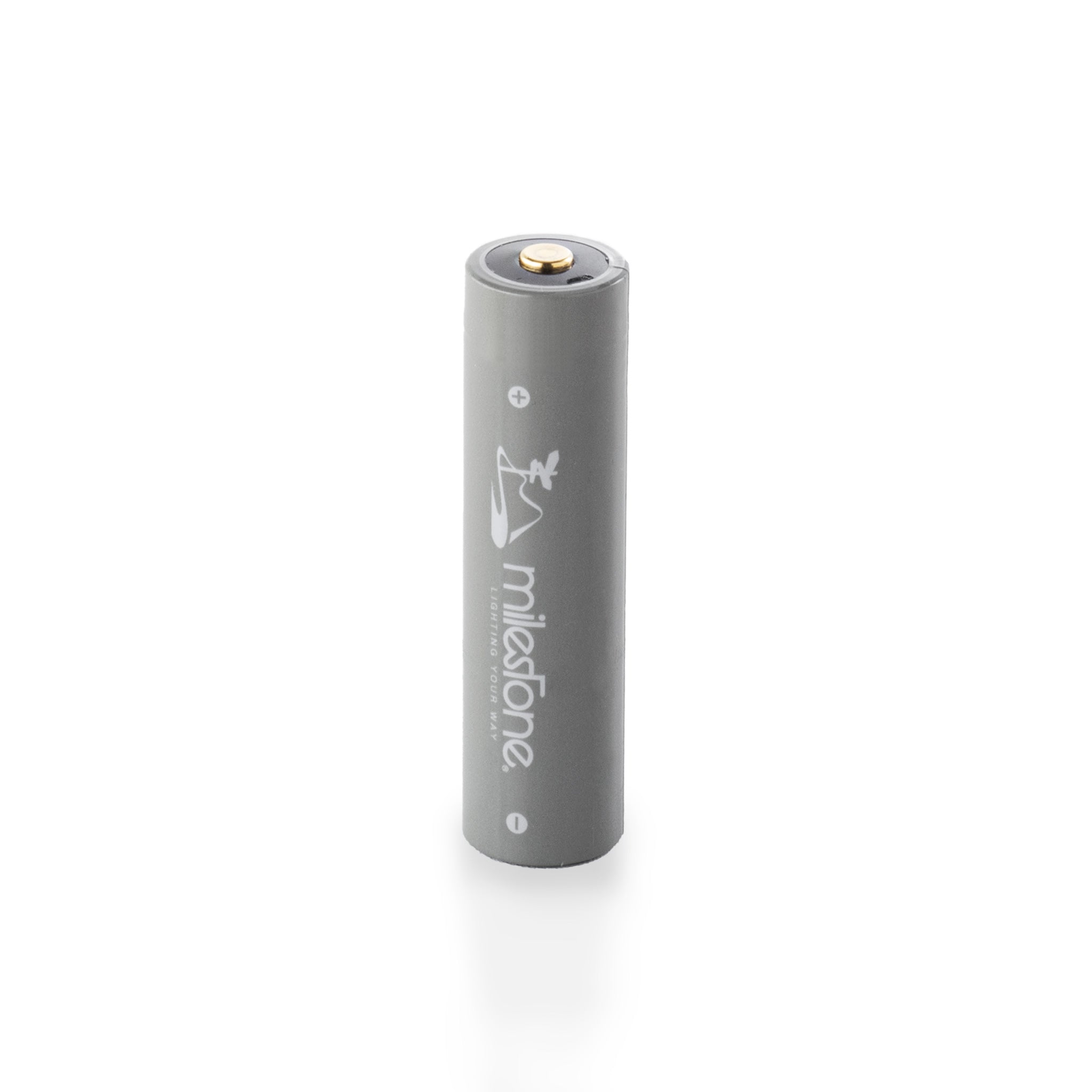 MS-LB3 “Smart Mobile Battery”