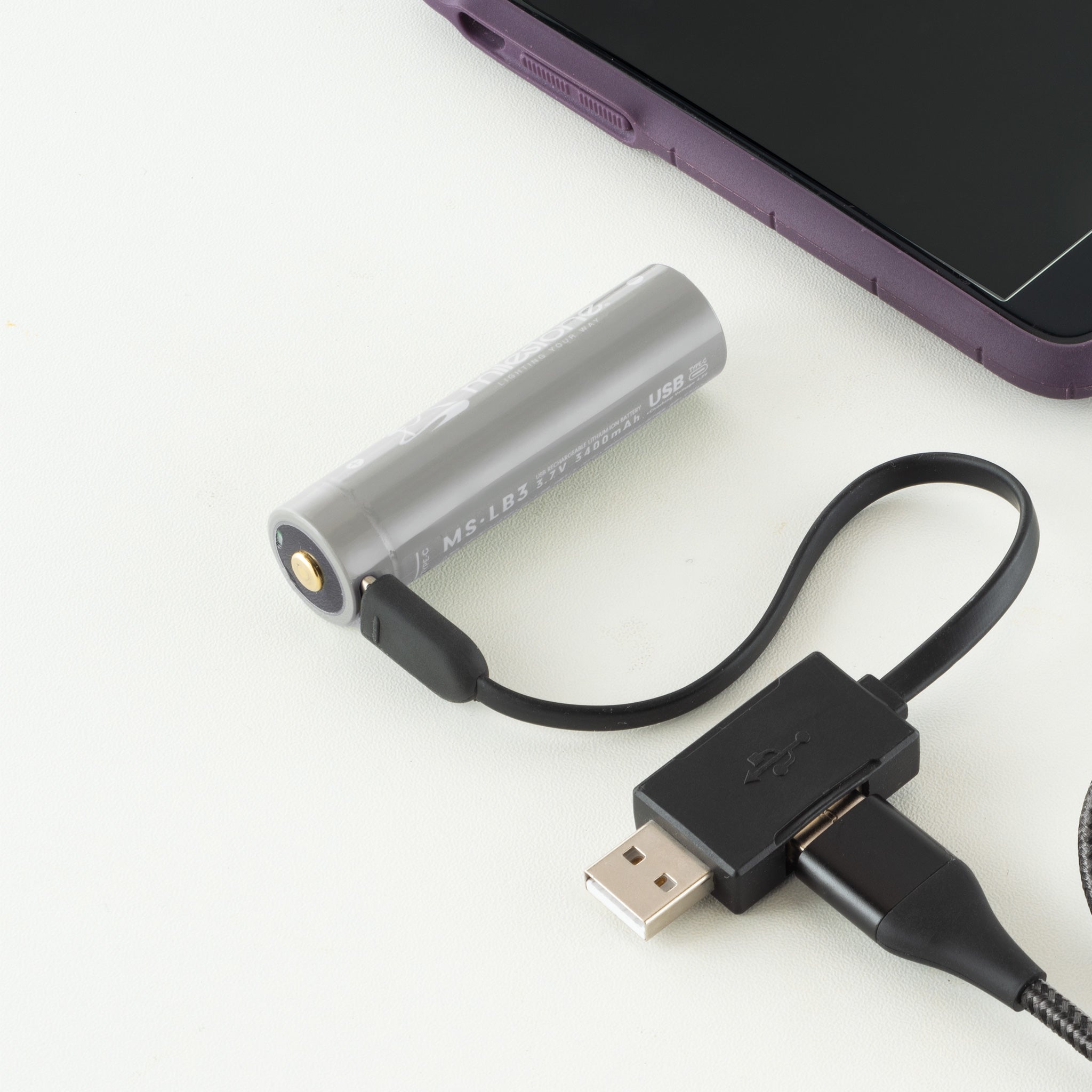 MS-LB3 “Smart Mobile Battery” – milestone