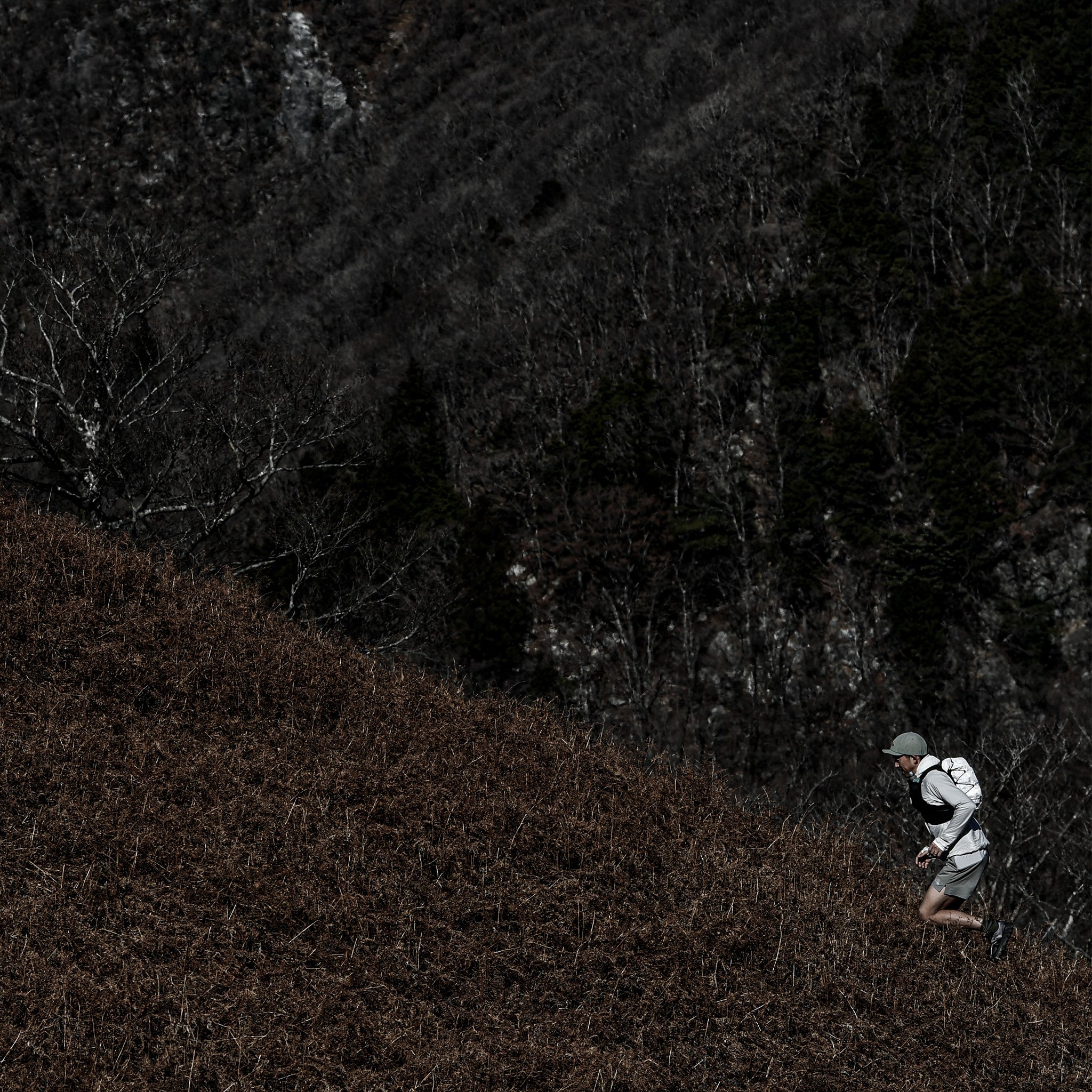 Natty Shorts 5_inch 2.0