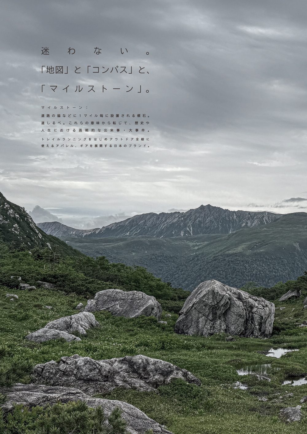 CATALOG VOL.11 P2