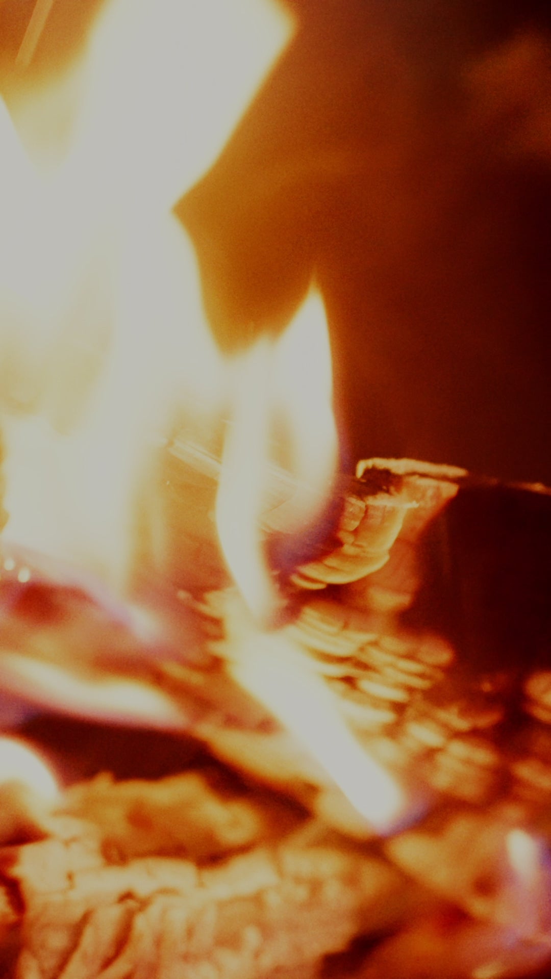 動画を読み込む